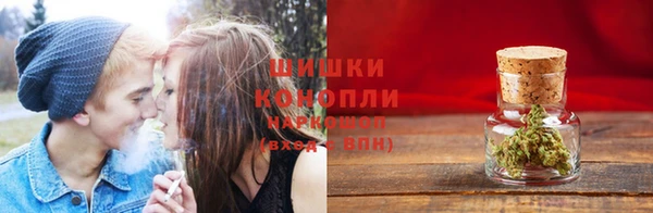 PSILOCYBIN Бородино