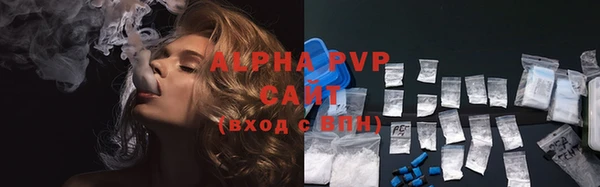 PSILOCYBIN Бородино