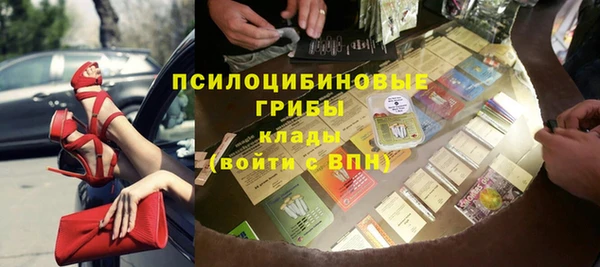 PSILOCYBIN Бородино