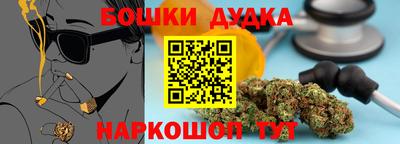 прущие грибы Обь