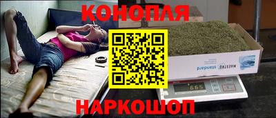 прущие грибы Обь